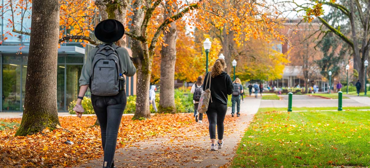 Students walking away from the camera towards building over fall leaves on the sidewalk