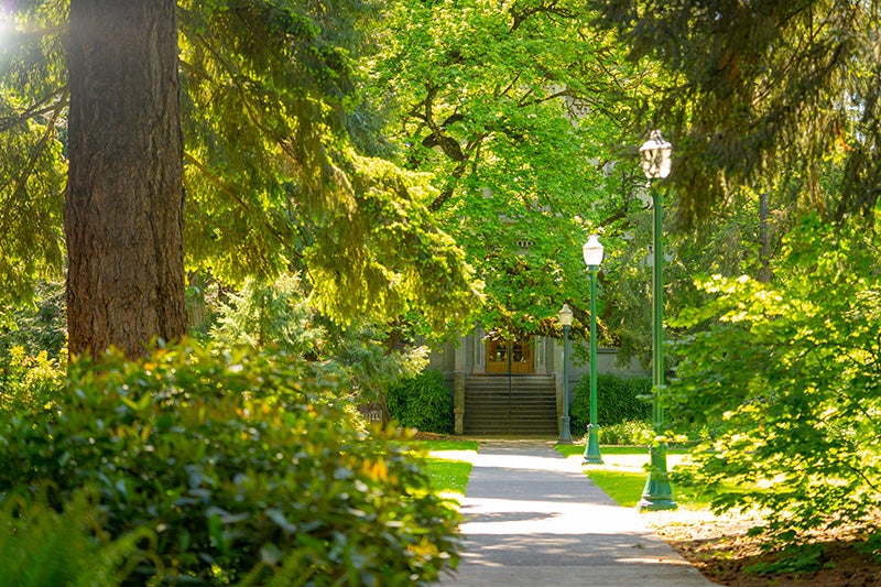 Sidewalk leading to University Hall.