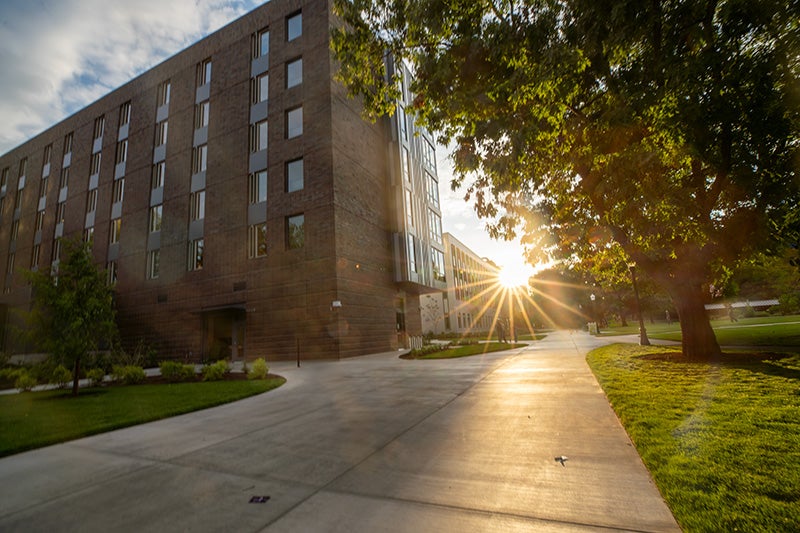 Sunburst through between the trees and the New Residence Hall.