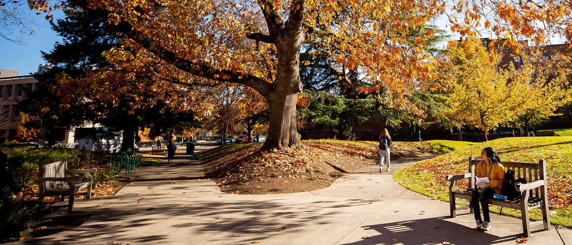 University Campus Fall Scene