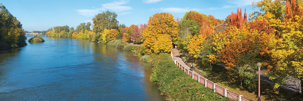 Looking along the Willamette River